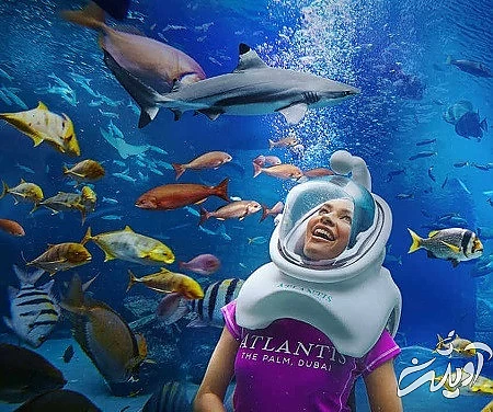 تفریح در آکواریوم لاست چمبرز تاریخچه آکواریوم لاست چمبرز, حیوانات آبزی در آکواریوم لاست چمبرز, بازدید از آکواریوم لاست چمبرز